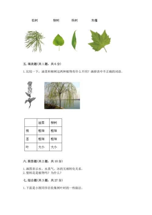 教科版科学一年级上册第一单元《植物》测试卷【word】.docx