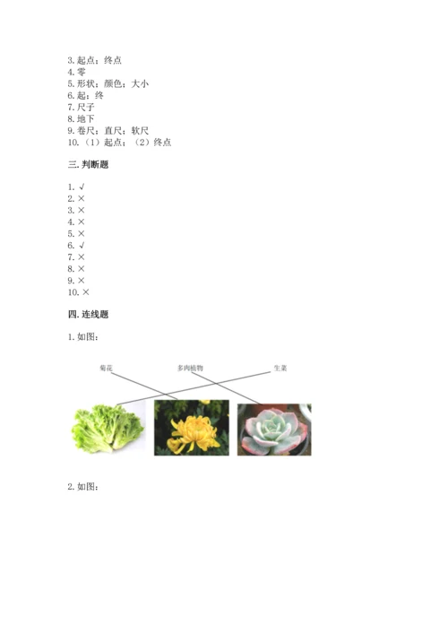 教科版一年级上册科学期末测试卷精品加答案.docx