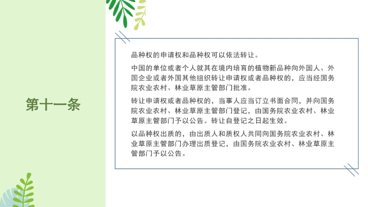 普法全文学习2025年4月新修订《中华人民共和国植物新品种保护条例》PPT课件