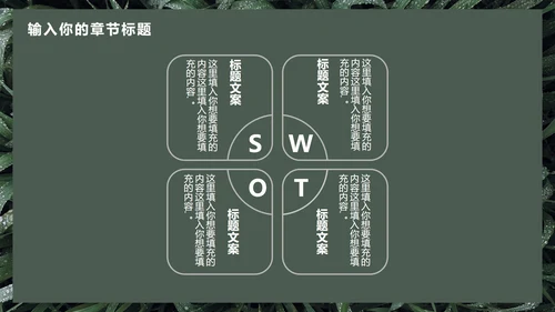 墨绿INS风小清新实景草地教学PPT模板