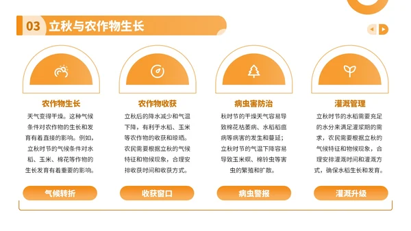 橙色卡通风走进立秋探寻节气文化