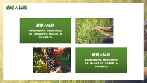 简约实景农民丰收佳节工作汇报PPT模板