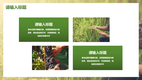 简约实景农民丰收佳节工作汇报PPT模板