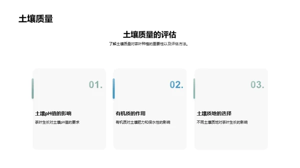 绿色种植：茶叶生态之路