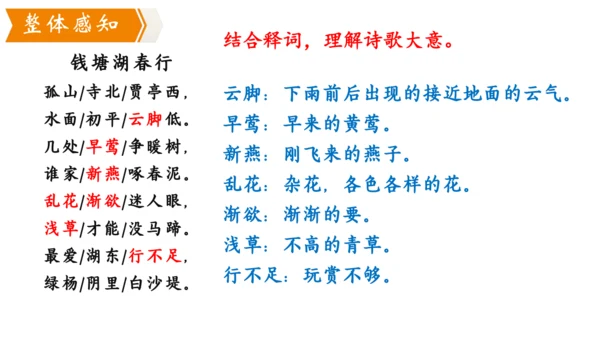 13 唐诗五首 钱塘湖春行 课件
