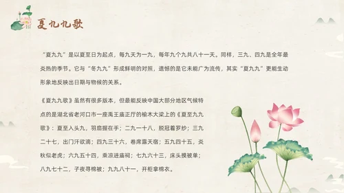 绿色淡雅中国风荷花荷叶中国二十四节气之夏至节气介绍PPT
