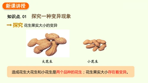 7.2.5生物的变异-八年级生物人教版下学期同步精品课件(共34张PPT)