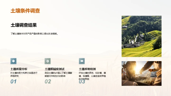 农产品产量分析报告