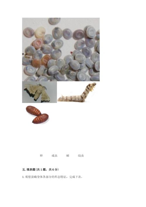 教科版科学三年级下册期末测试卷（培优）.docx