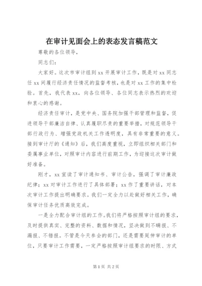 在审计见面会上的表态讲话稿范文.docx