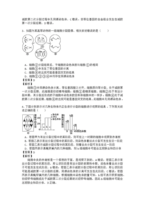 专题20 减数分裂和受精过程