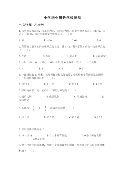 小学毕业班数学检测卷及完整答案（必刷）.docx