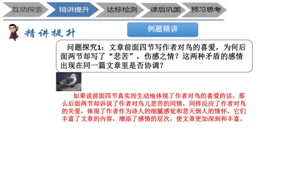 七年级上册《鸟》+“人与动物”教学设计PPT