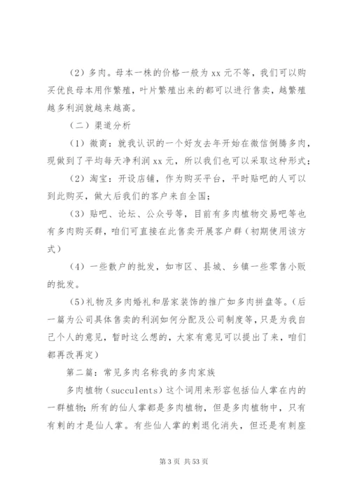 多肉公司建立方案.docx