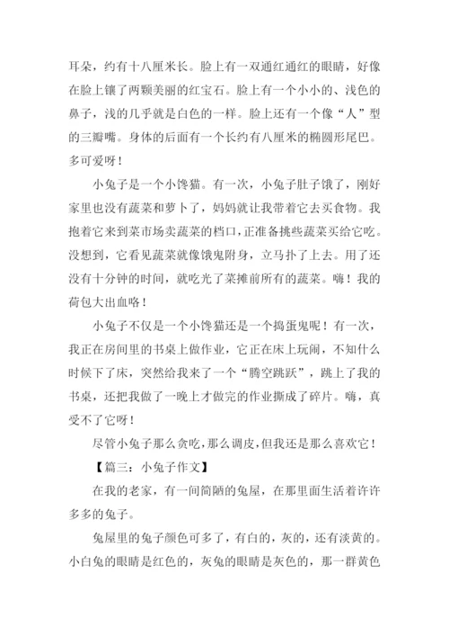 小兔子的作文.docx