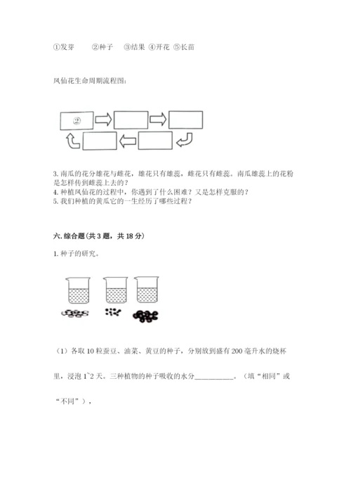 教科版四年级下册科学第一单元《植物的生长变化》测试卷【满分必刷】.docx