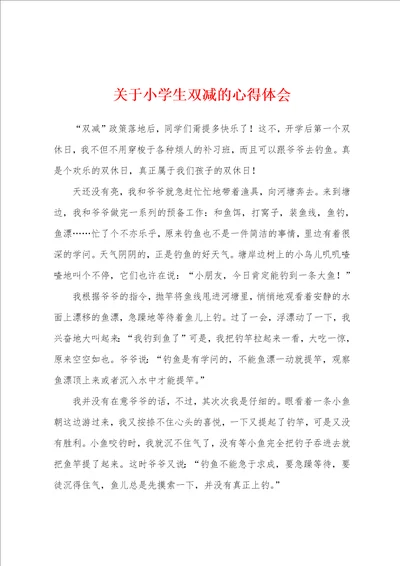 关于小学生双减的心得体会