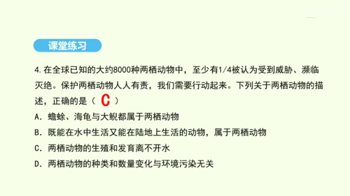 7.1.3两栖动物的生殖和发育课件-人教版生物八年级下册(共29张PPT)