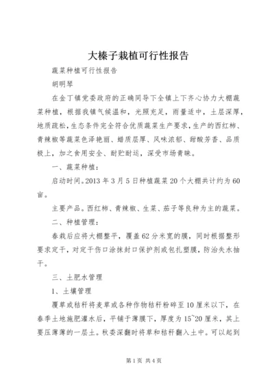 大榛子栽植可行性报告精编.docx