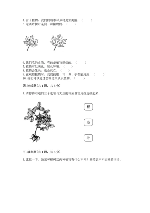 教科版科学一年级上册期末测试卷附答案（实用）.docx