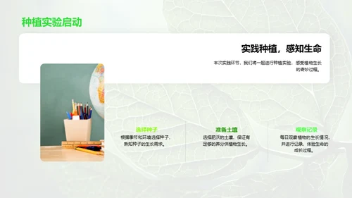 探秘植物的生命之旅