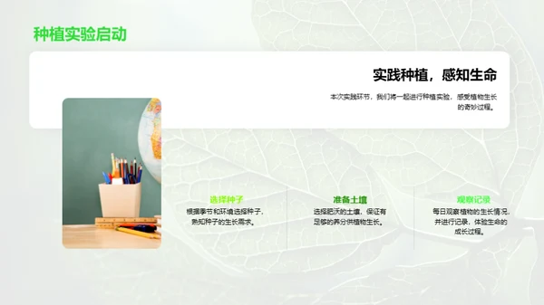 探秘植物的生命之旅