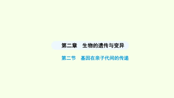 7.2.2基因在亲子代间的传递课件-人教版生物八年级下册(共29张PPT)