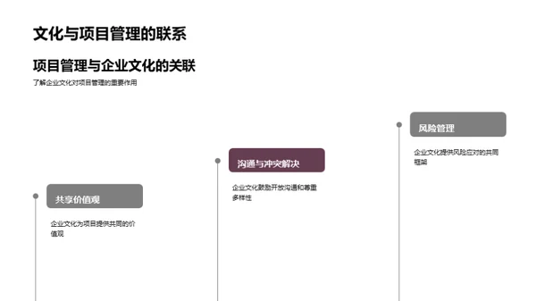 企业文化与项目融合