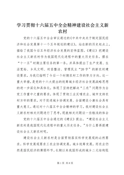 学习贯彻十六届五中全会精神建设社会主义新农村.docx