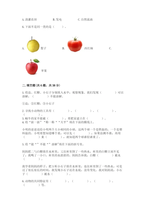 教科版小学科学一年级下册期末测试卷附答案【预热题】.docx