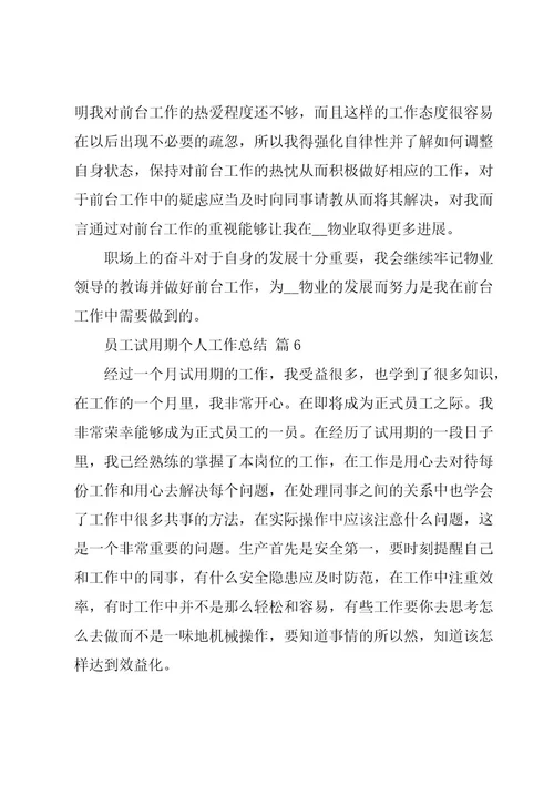 员工试用期个人工作总结（22篇）
