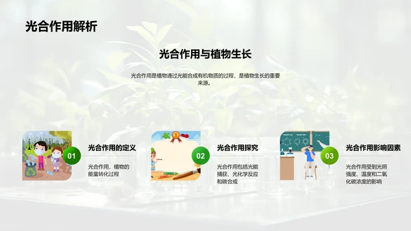 探秘植物生长