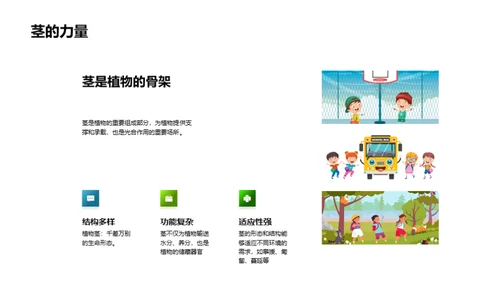 揭秘绿色之源