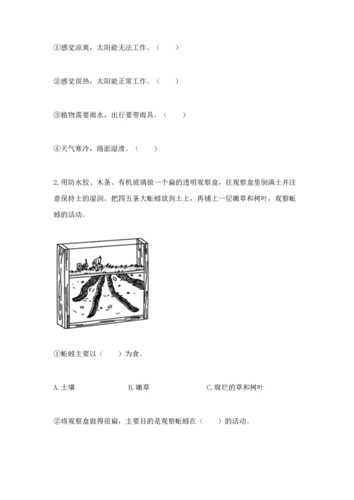 教科版科学二年级上册《期末测试卷》【真题汇编】.docx