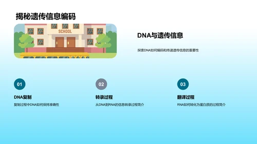 DNA结构与功能讲解PPT模板