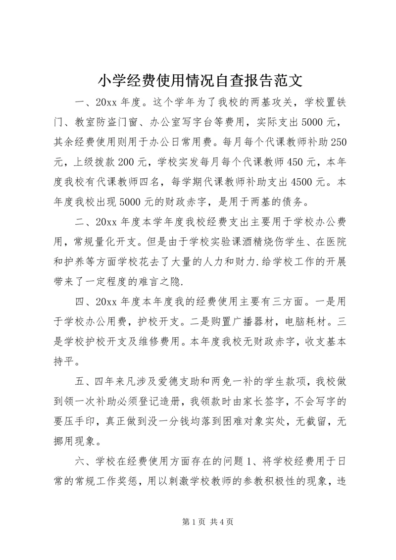 小学经费使用情况自查报告范文.docx