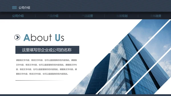 稳重详细内容商业计划书PPT模板
