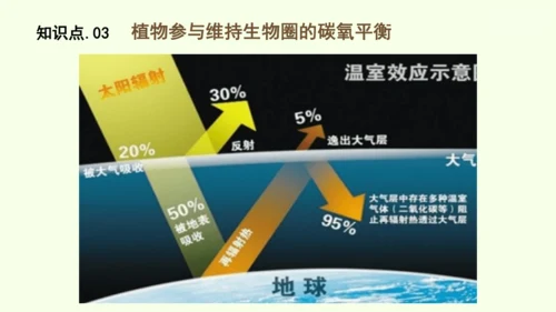 3.2.4植物在自然界中的作用-七年级生物下学期同步精品课件（2024人教版）(共27张PPT)