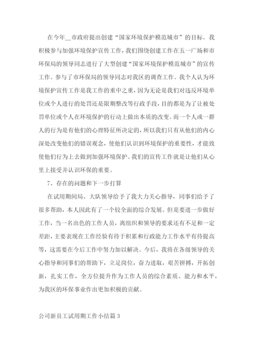 公司新员工试用期工作小结.docx