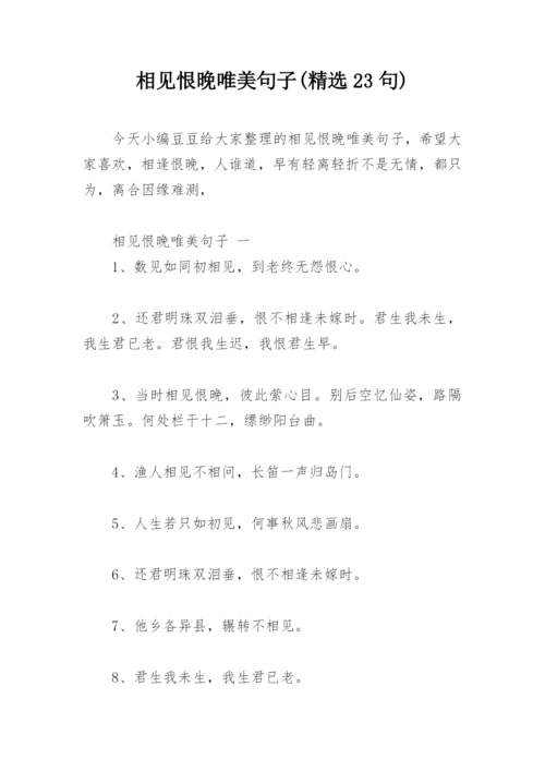 相见恨晚唯美句子(精选23句).docx