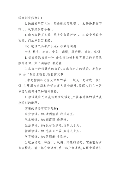 小学六年级语文小升初必考知识点.docx