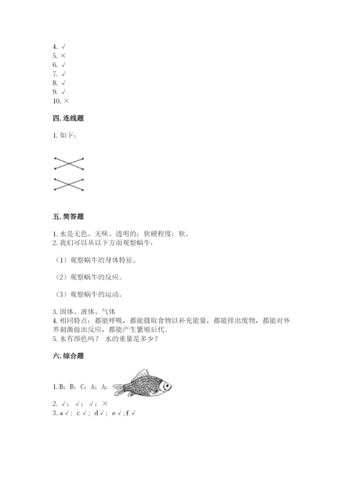 教科版一年级下册科学期末测试卷精品（模拟题）.docx