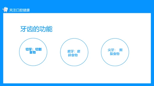 关注口腔健康，口腔卫生保健知识讲座PPT模板