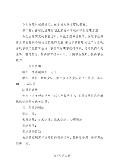 排球队组建计划.docx