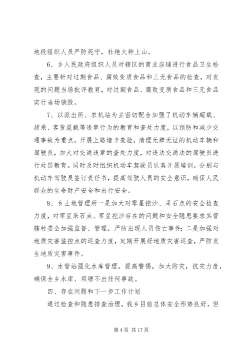 乡镇安全大检查总结总结.docx