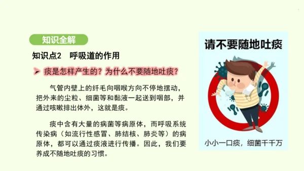 第四单元-第三章-第一节-呼吸道对空气的处理课件-2024-2025学年七年级生物下学期人教版(20