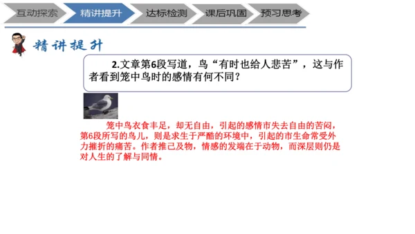 七年级上册《鸟》+“人与动物”教学设计PPT