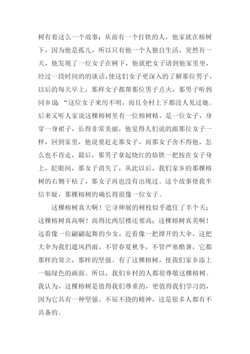 关于家乡的作文800字.docx