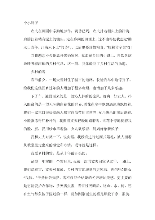 乡村美景作文500字5篇
