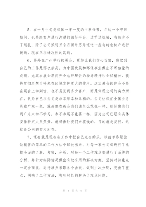 业务员个人月度工作总结.docx